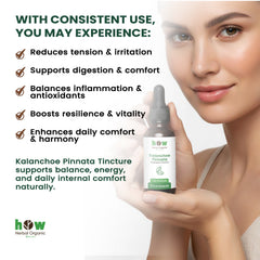 Kalanchoe pinnata Tincture benefits