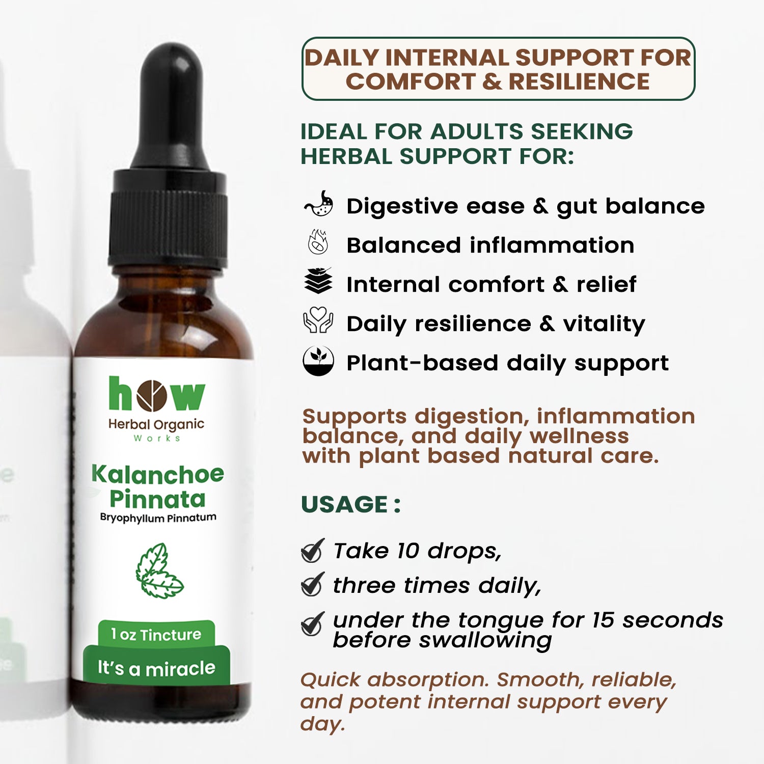 Kalanchoe pinnata Tincture uses