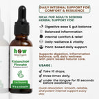 Kalanchoe pinnata Tincture uses