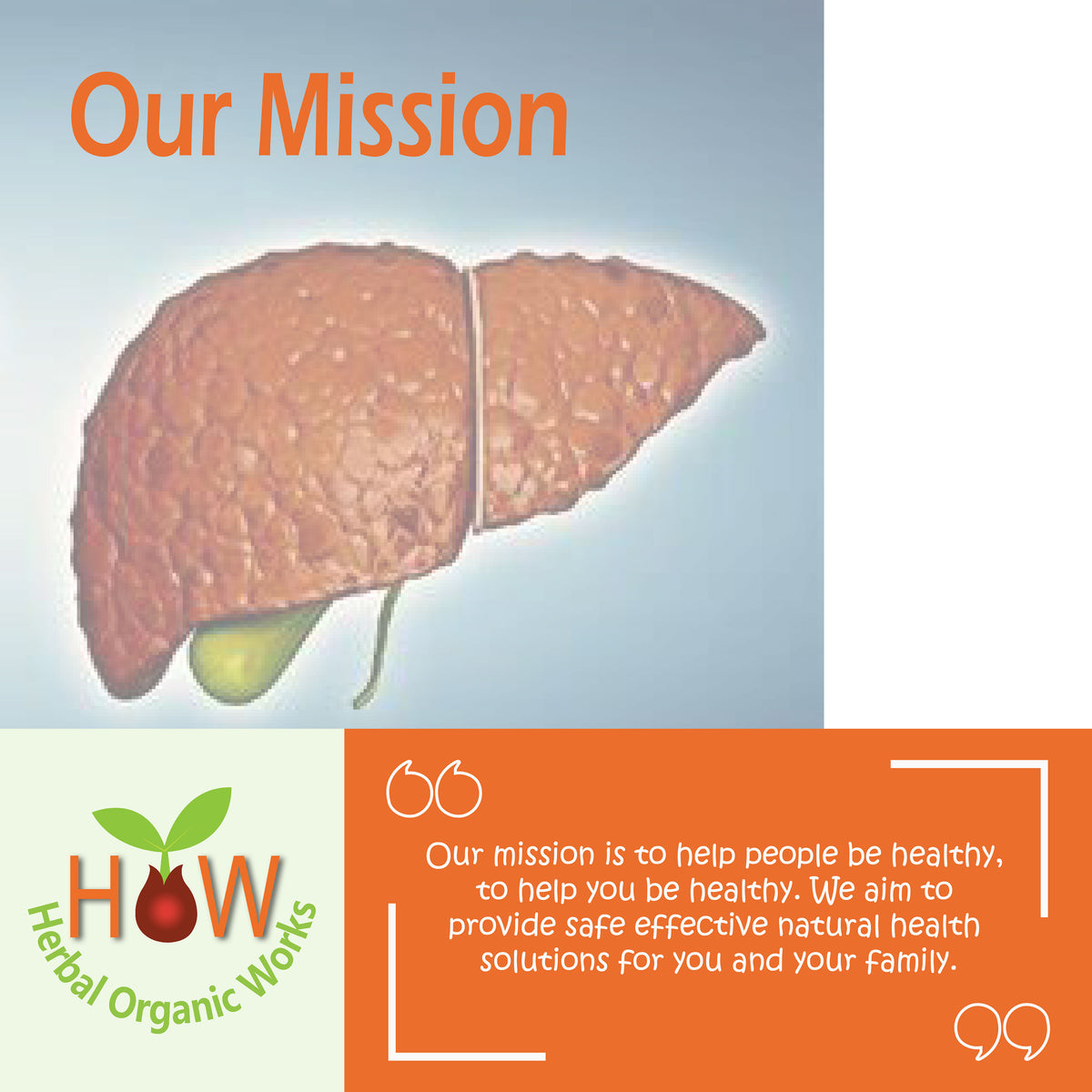 LIVER DAMAGE REPAIR REMEDY (HOW74)