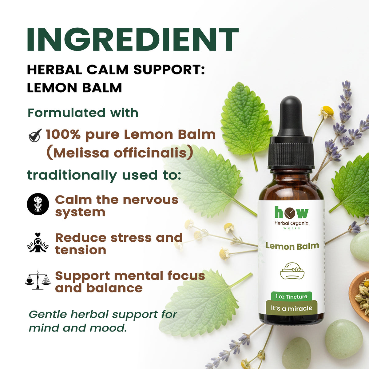 Lemon Balm Tincture ingredients