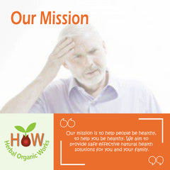 MEMORY SUPPORT FOR OLDER ADULTS (HOW93)