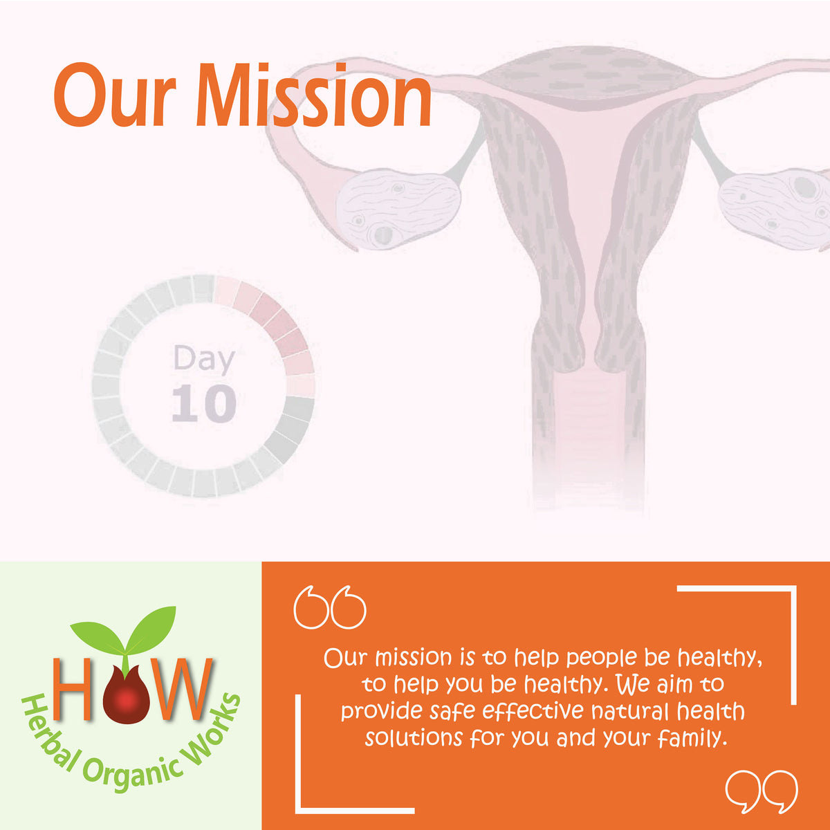 MENSTRUATION SUPPLEMENT (BIO15)