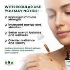 Maitake Extract benefits