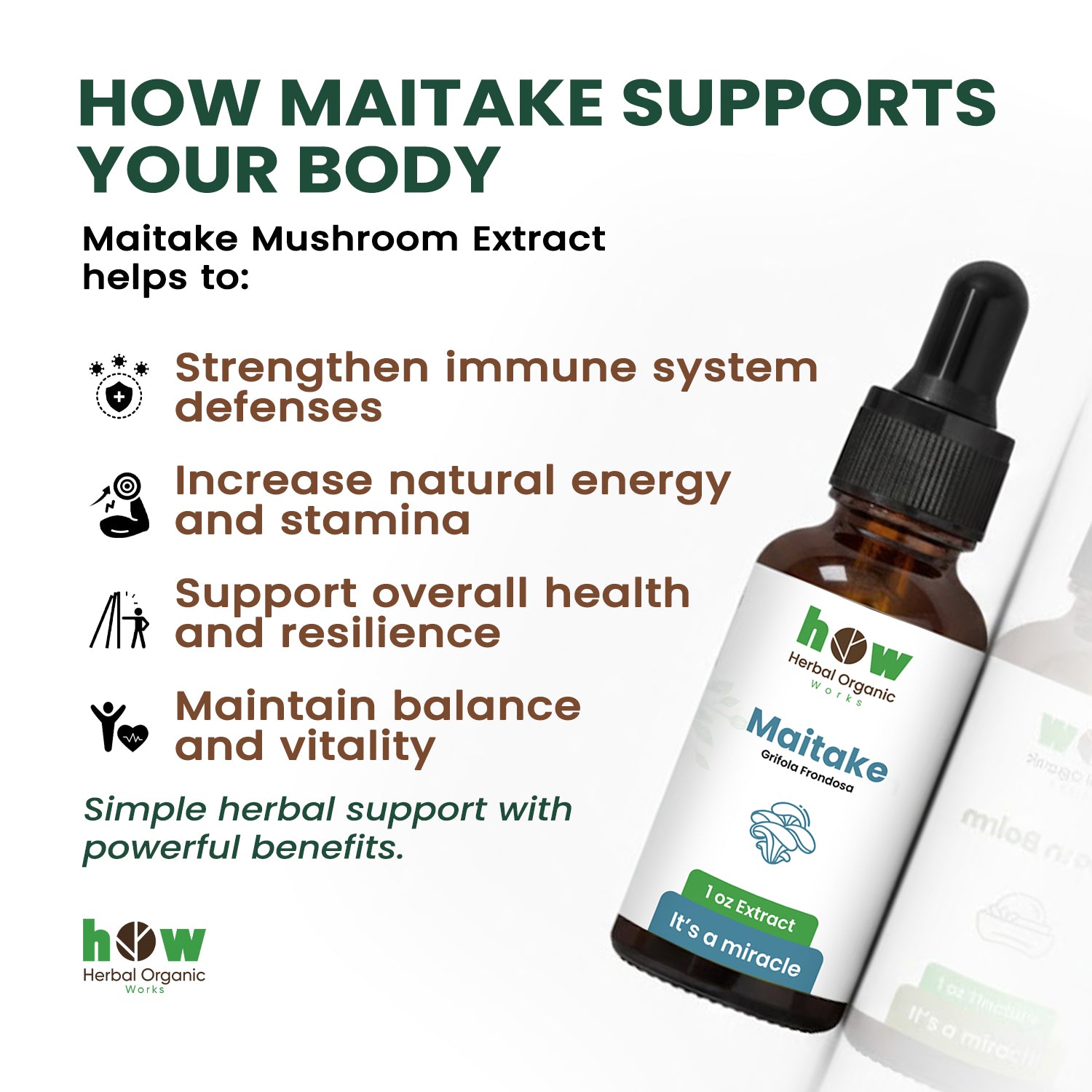 Maitake Extract for body