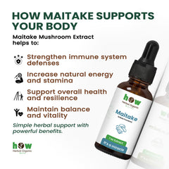 Maitake Extract for body