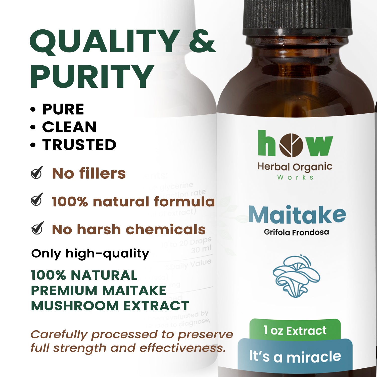 Maitake Extract quality