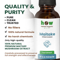 Maitake Extract quality