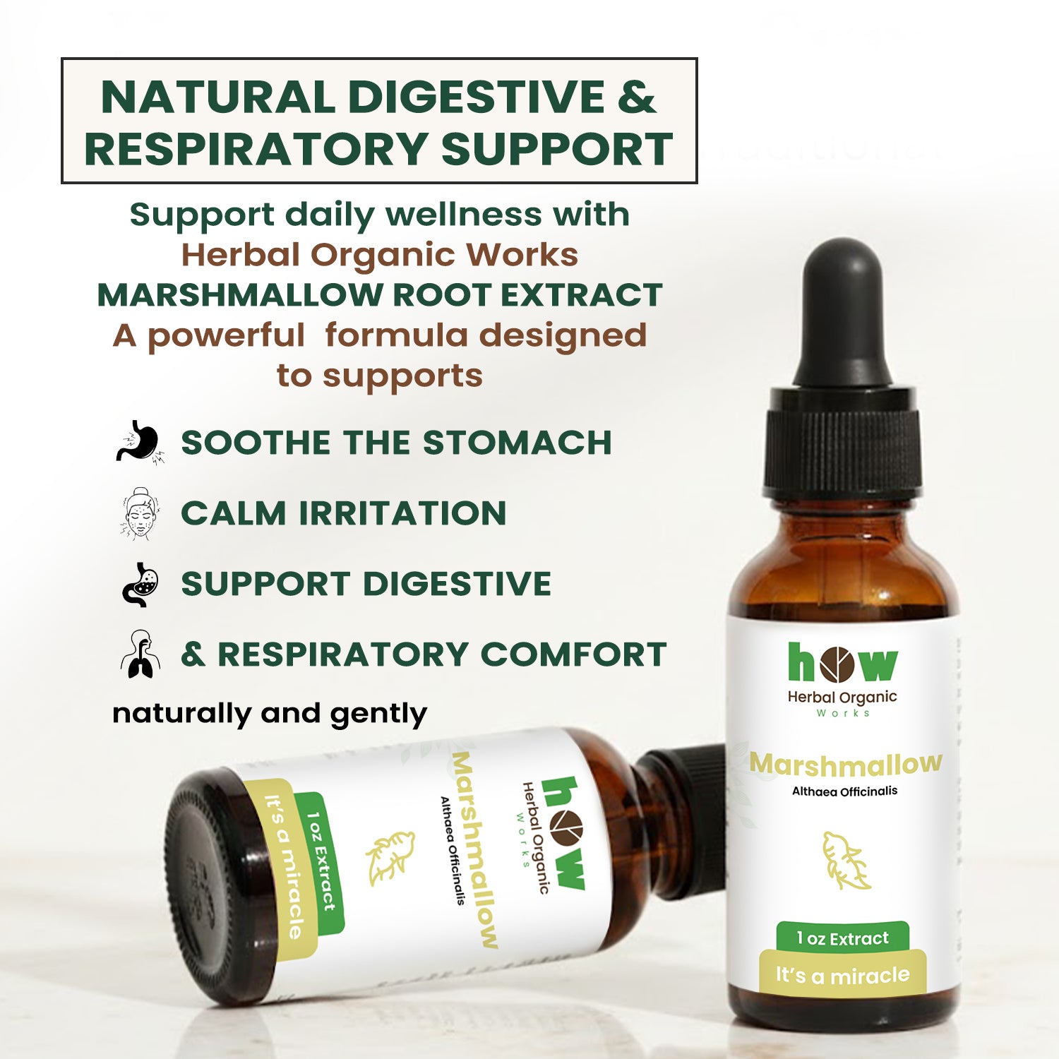 Marshmallow root extract 