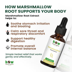 Marshmallow root extract for body