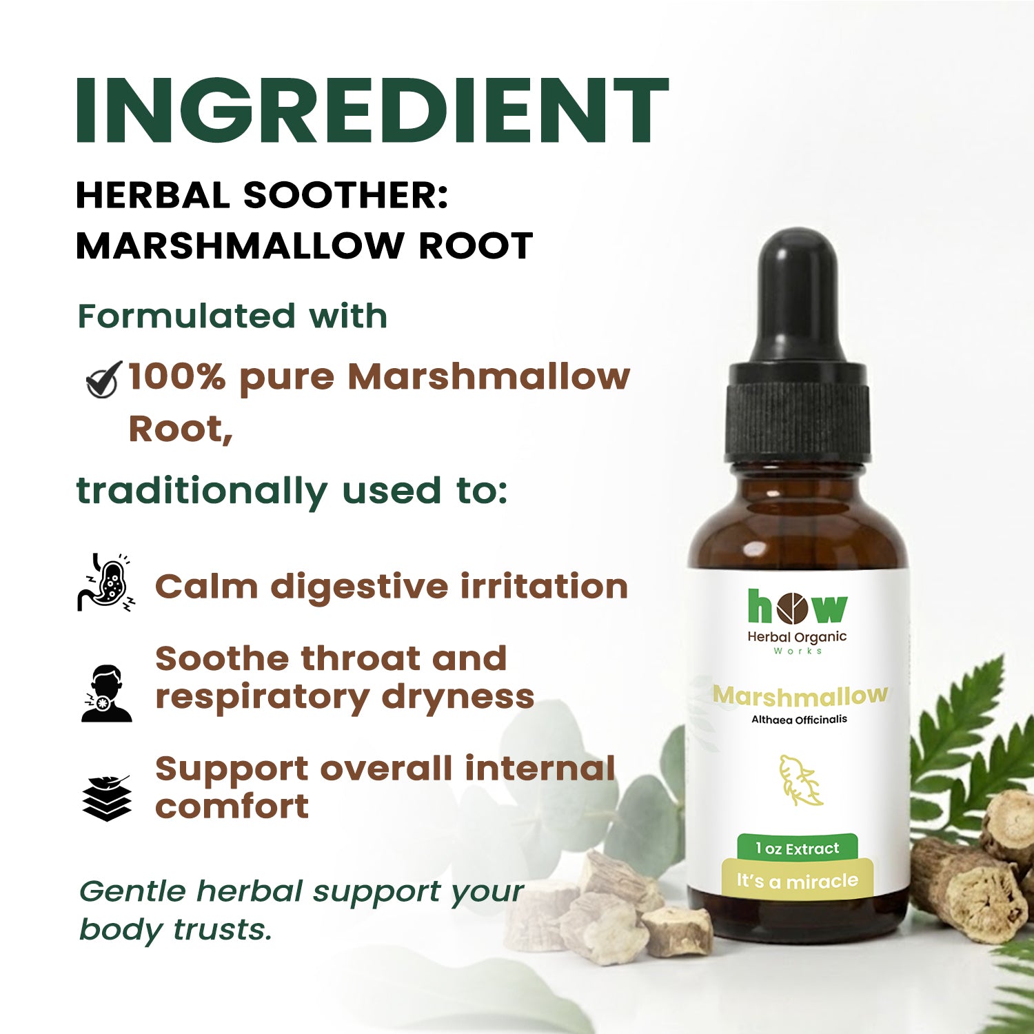 Marshmallow root extract 