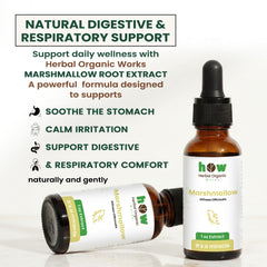 Marshmallow root extract 
