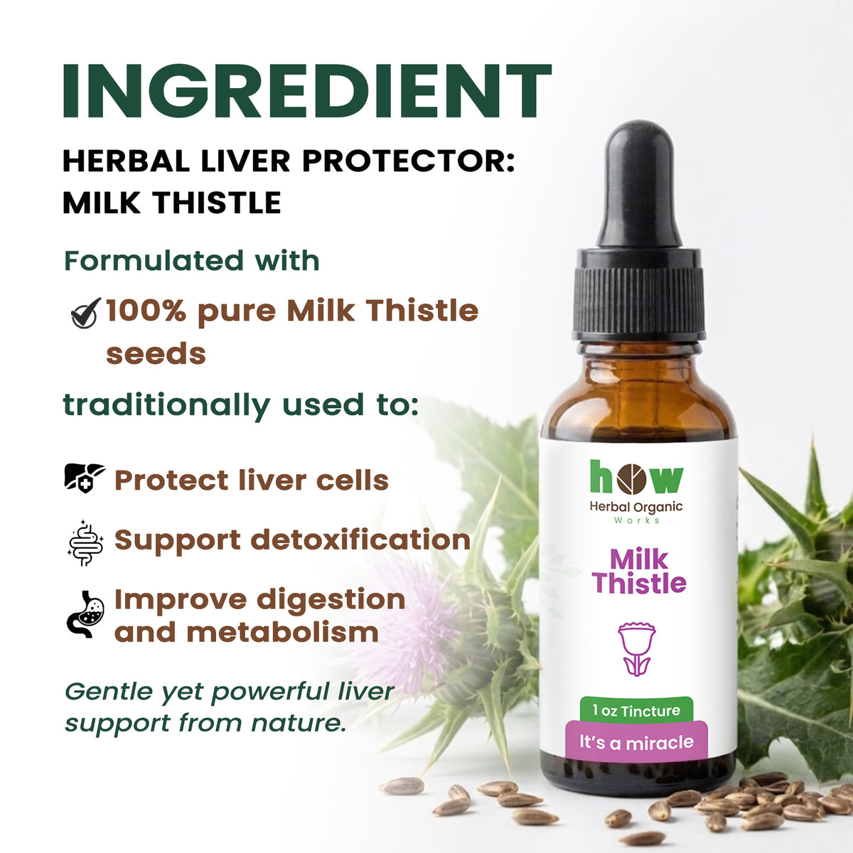 Milk thistle extract ingredients