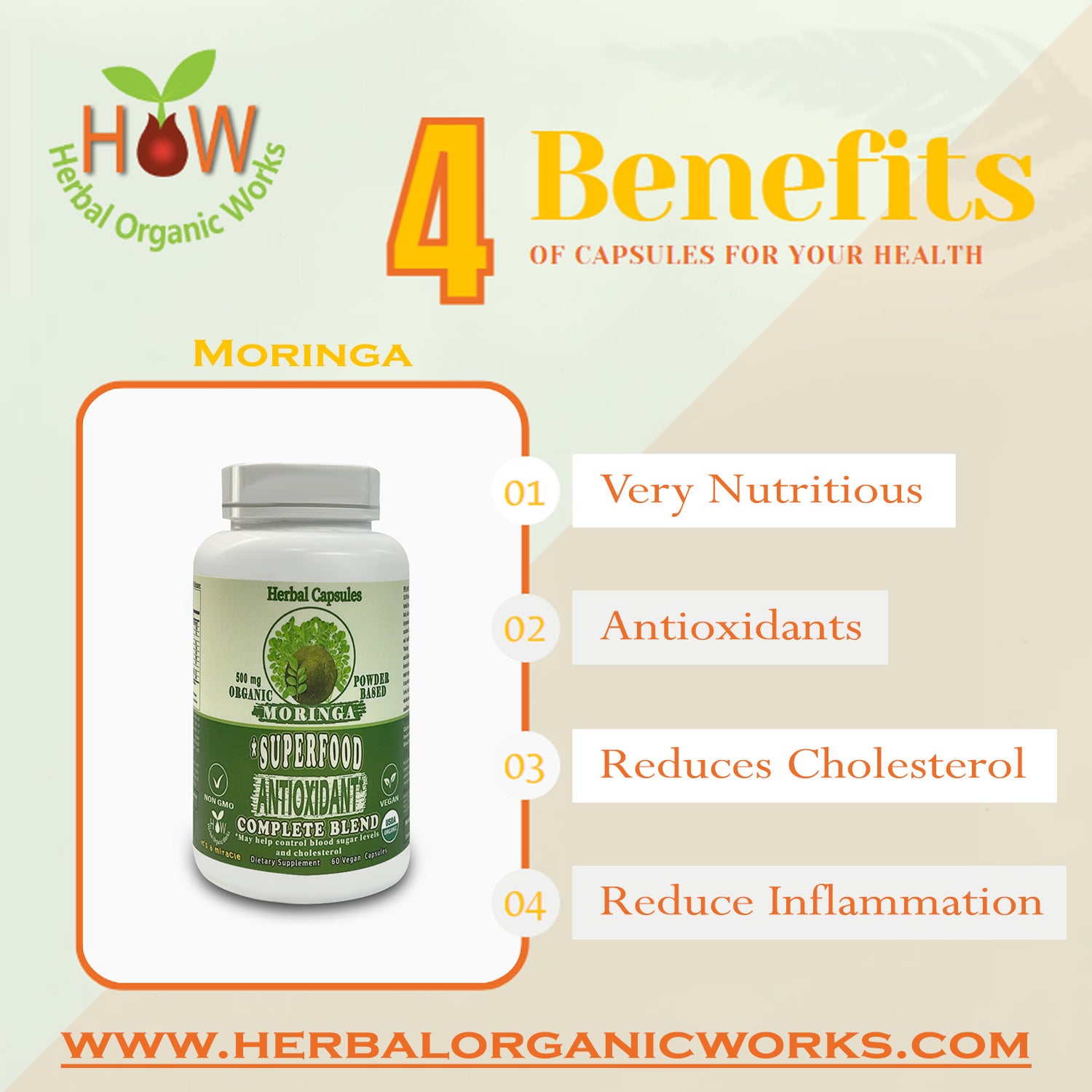 Moringa Superfood Antioxidant Copmlete Blend | Control Sugar Level