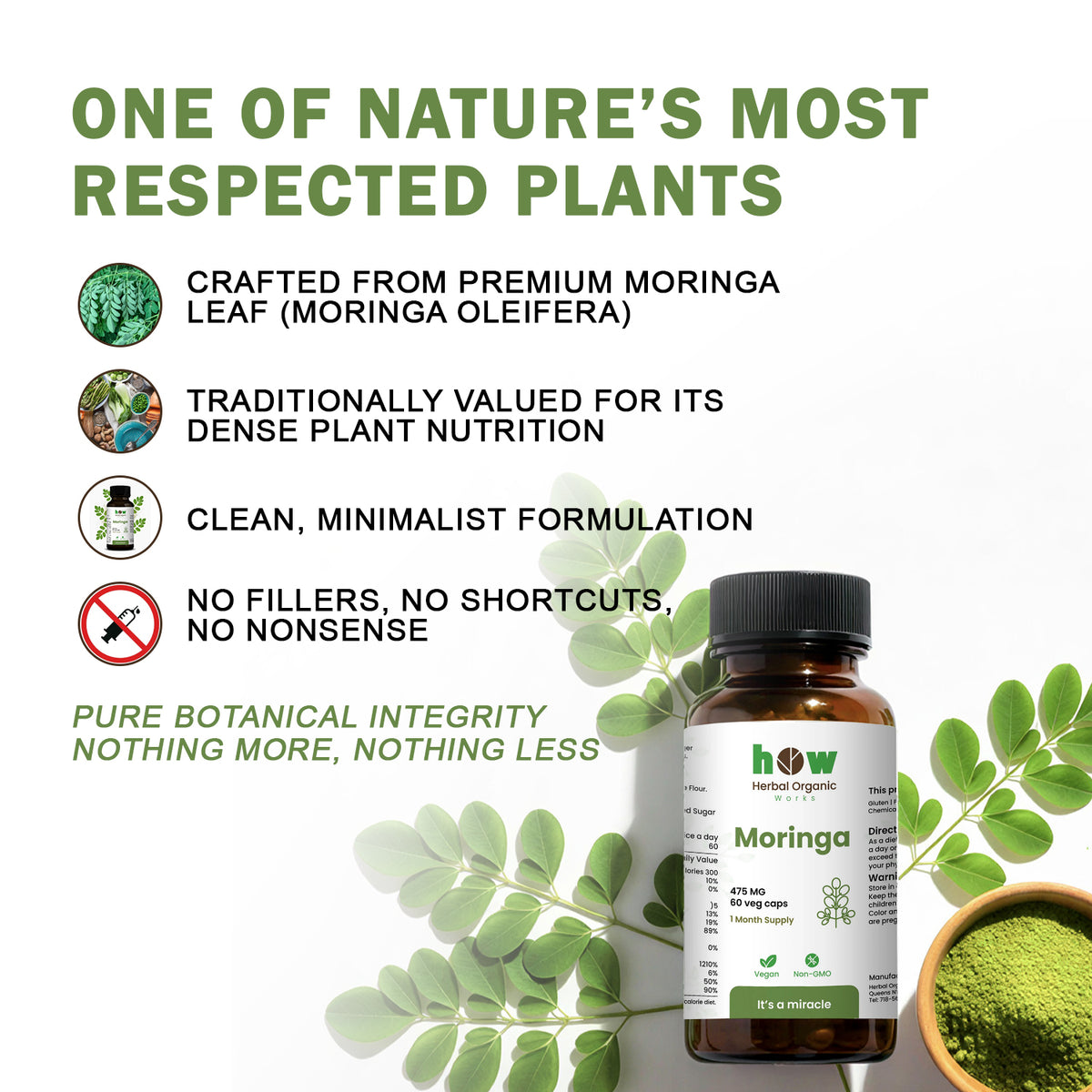 Moringa Capsules plant