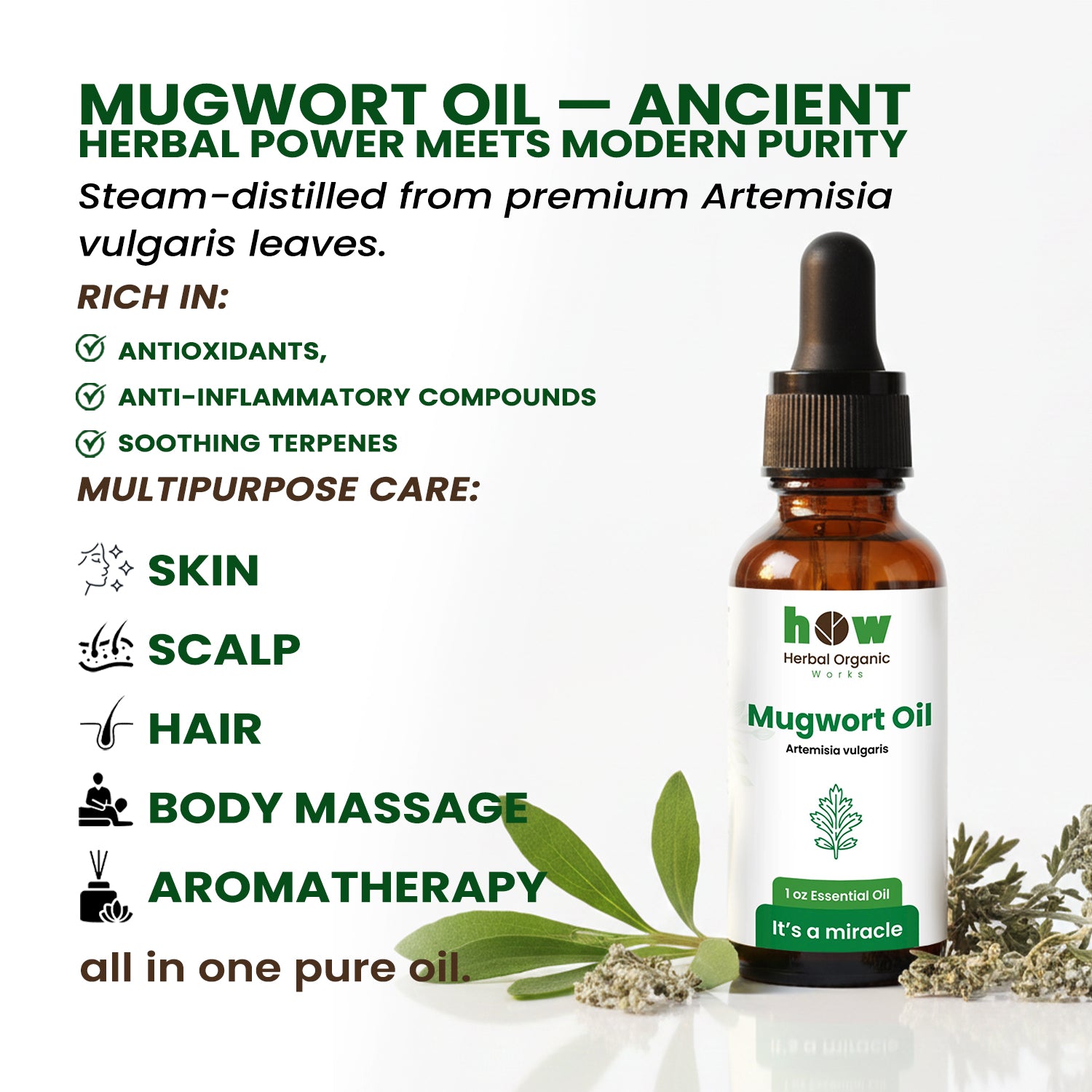 Mugwort oil 
