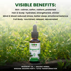  Mugwort oil benefits