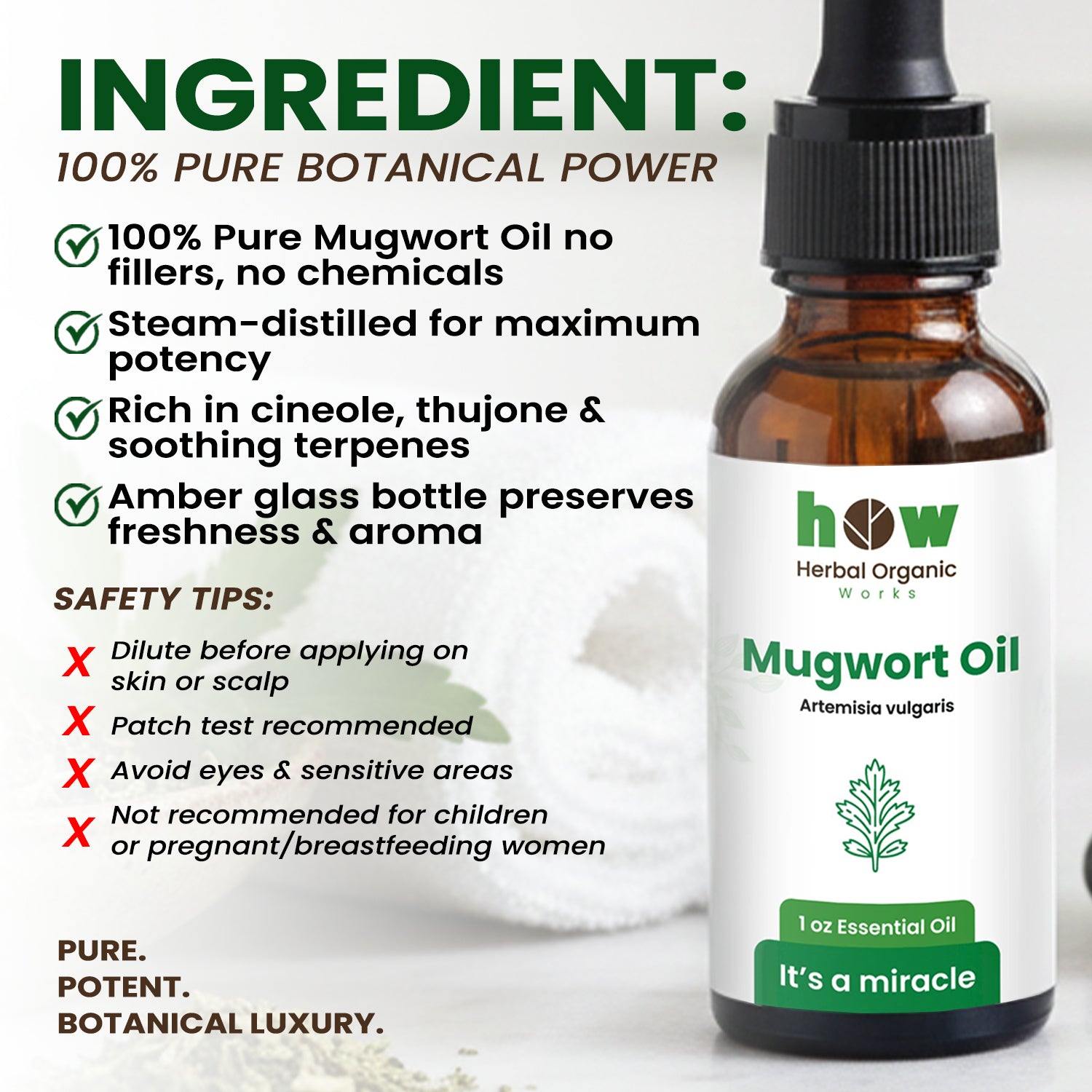 Mugwort oil ingredients