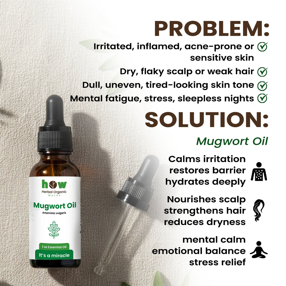 Mugwort oil problems solution