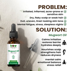 Mugwort oil problems solution