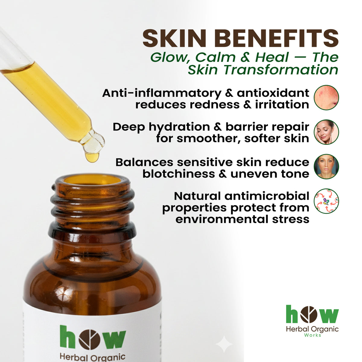 Mugwort oil works