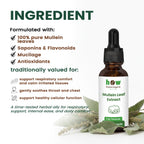Mullein Leaf Extract ingredients
