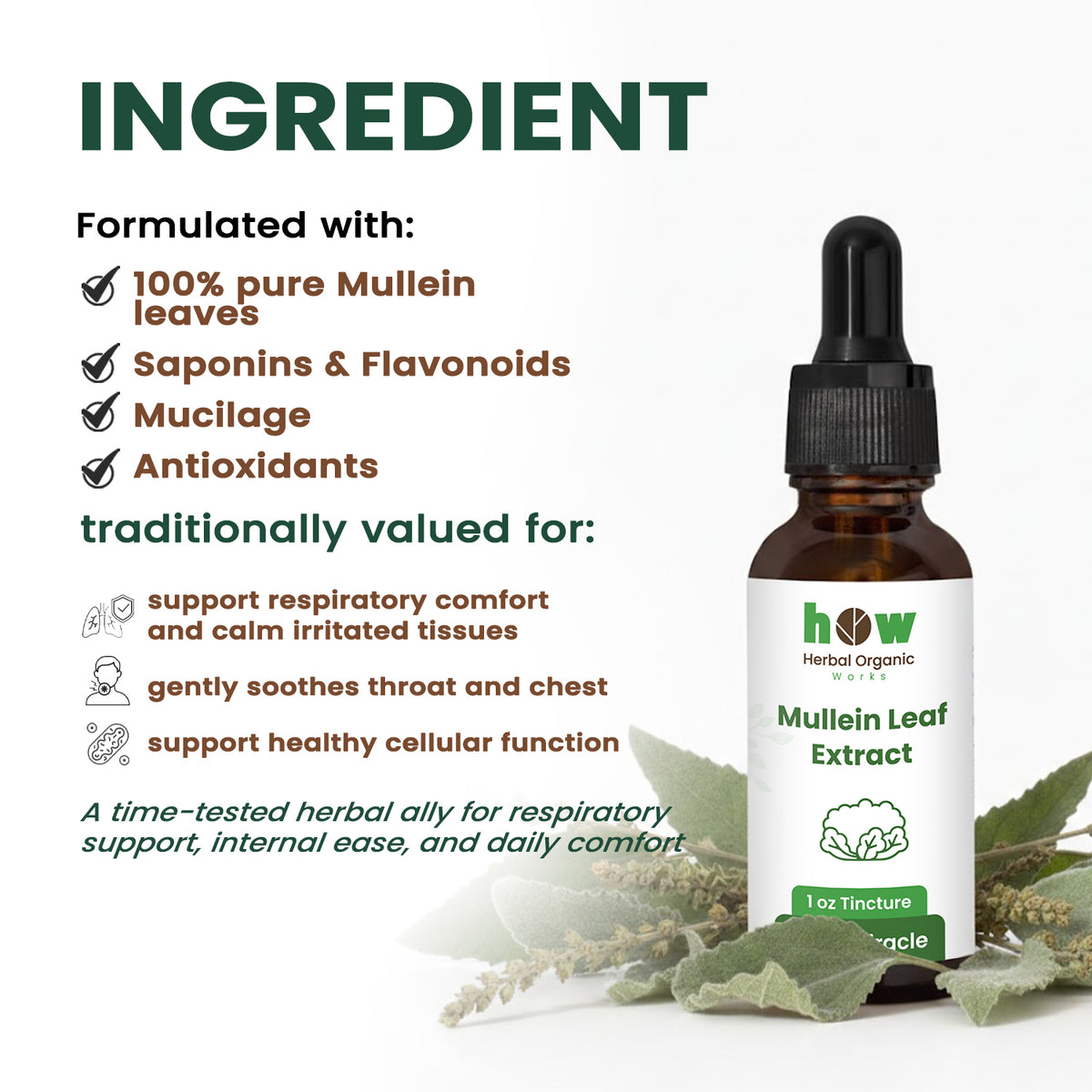 Mullein Leaf Extract ingredients