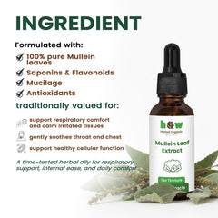 Mullein Leaf Extract ingredients