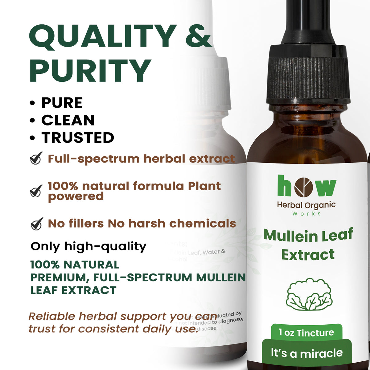 Mullein Leaf extract quality