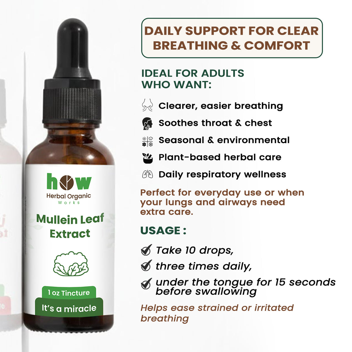 Mullein Leaf extract uses
