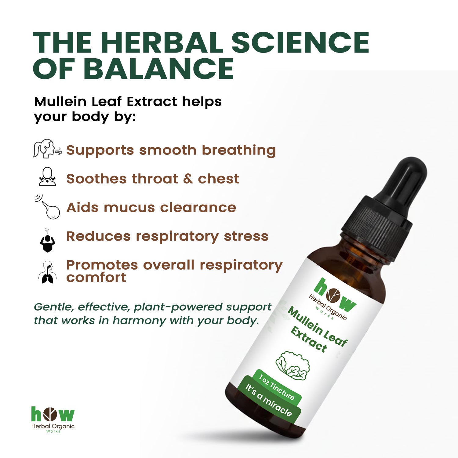 Mullein Leaf extract work