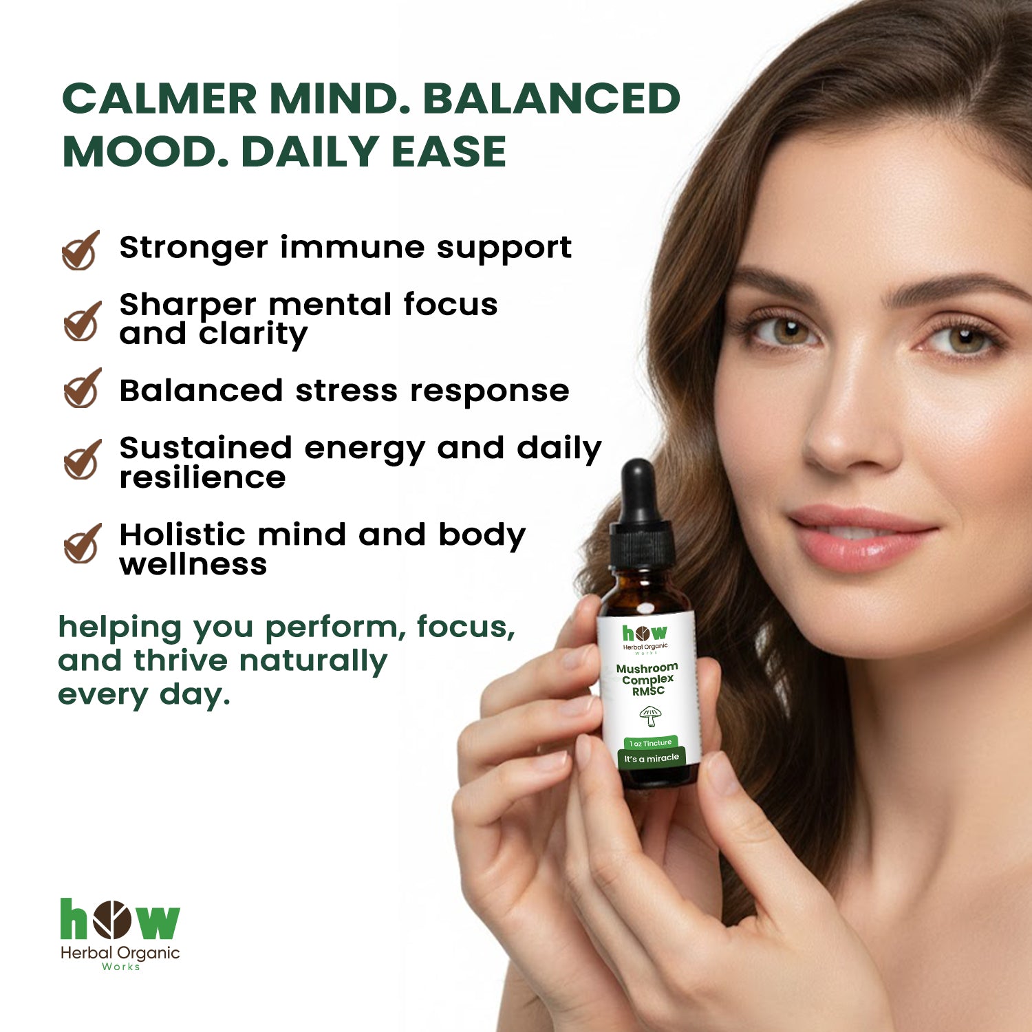 Mushroom complex tincture benefits