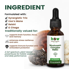 Mushroom complex tincture ingredients