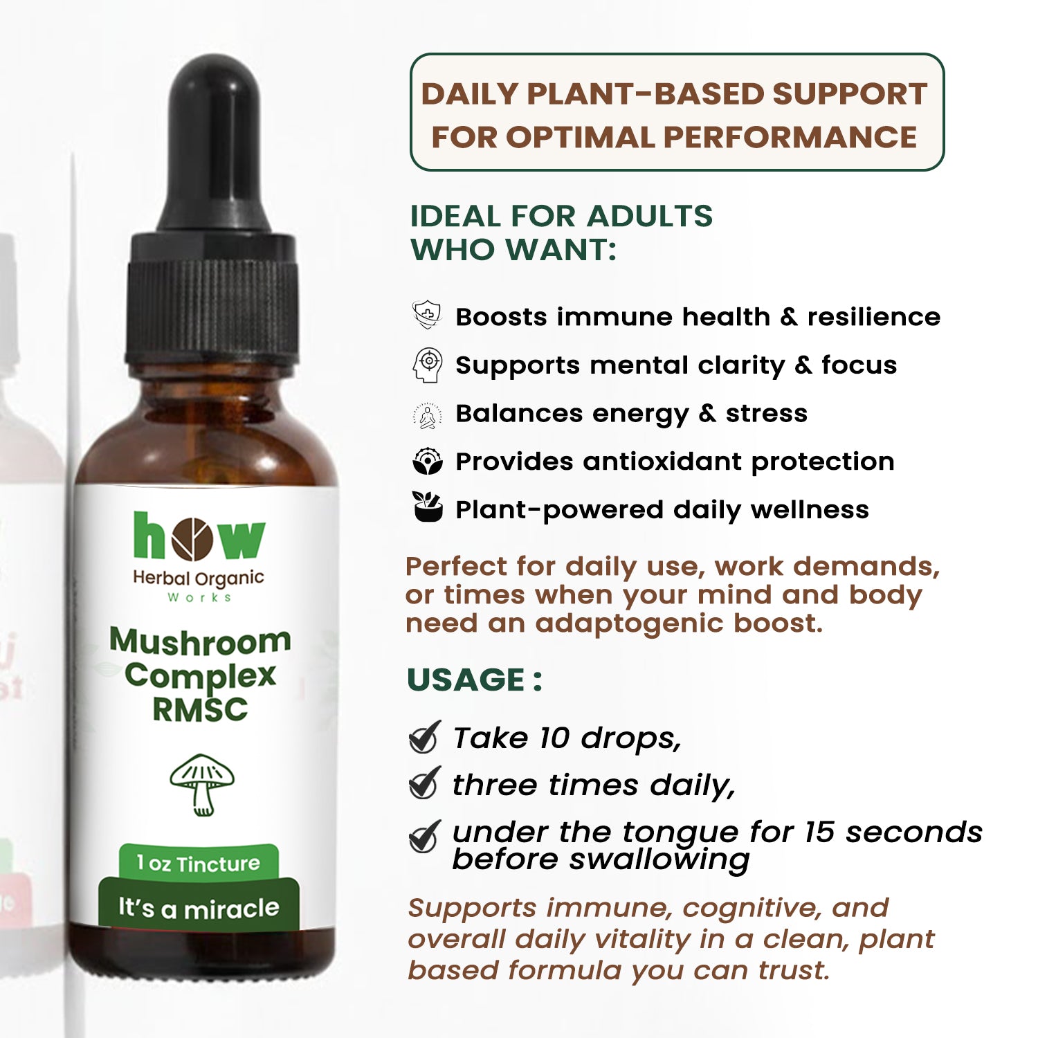 Mushroom complex tincture uses