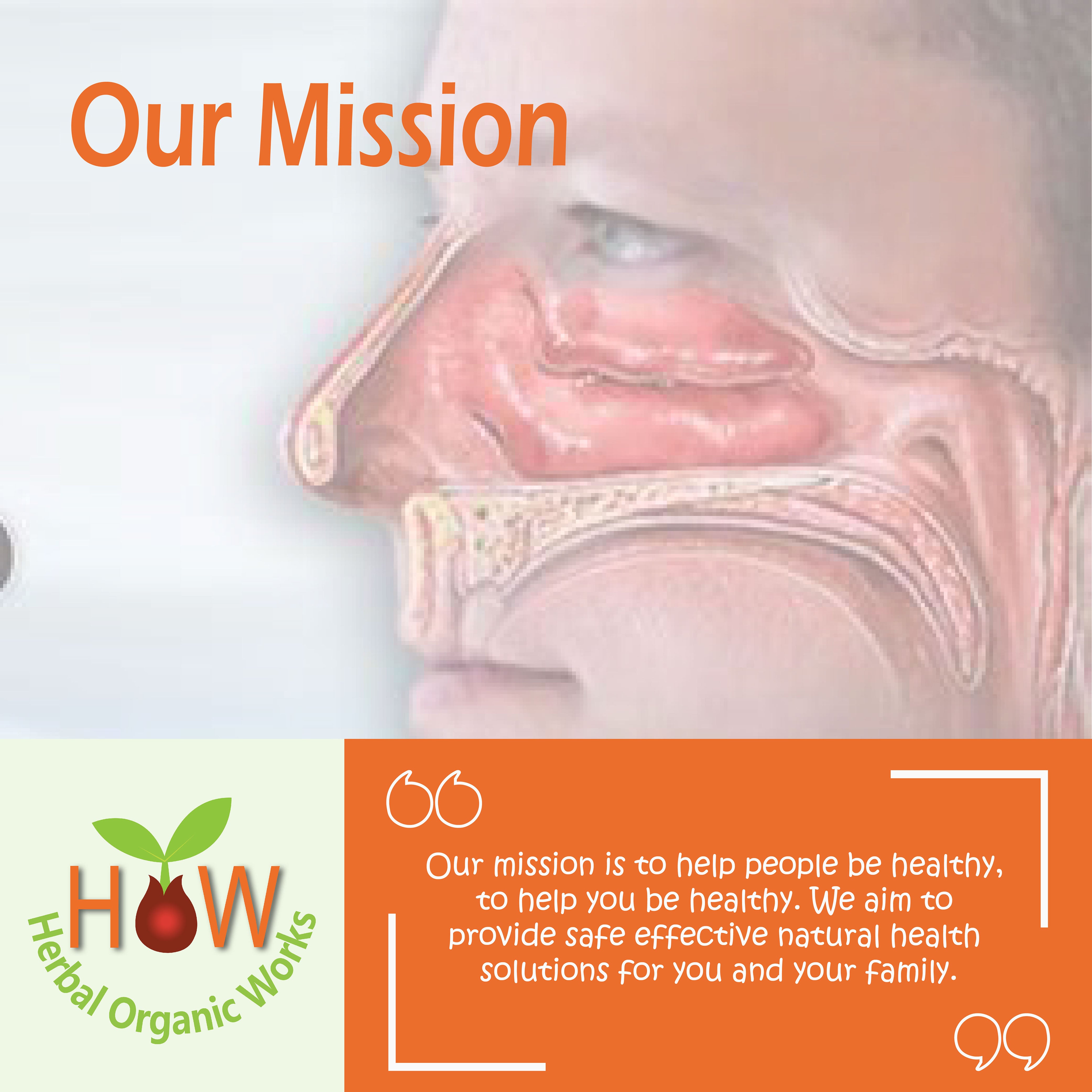 NASAL DISCHARGE AND HEADACHE TABLETS (BIO5)