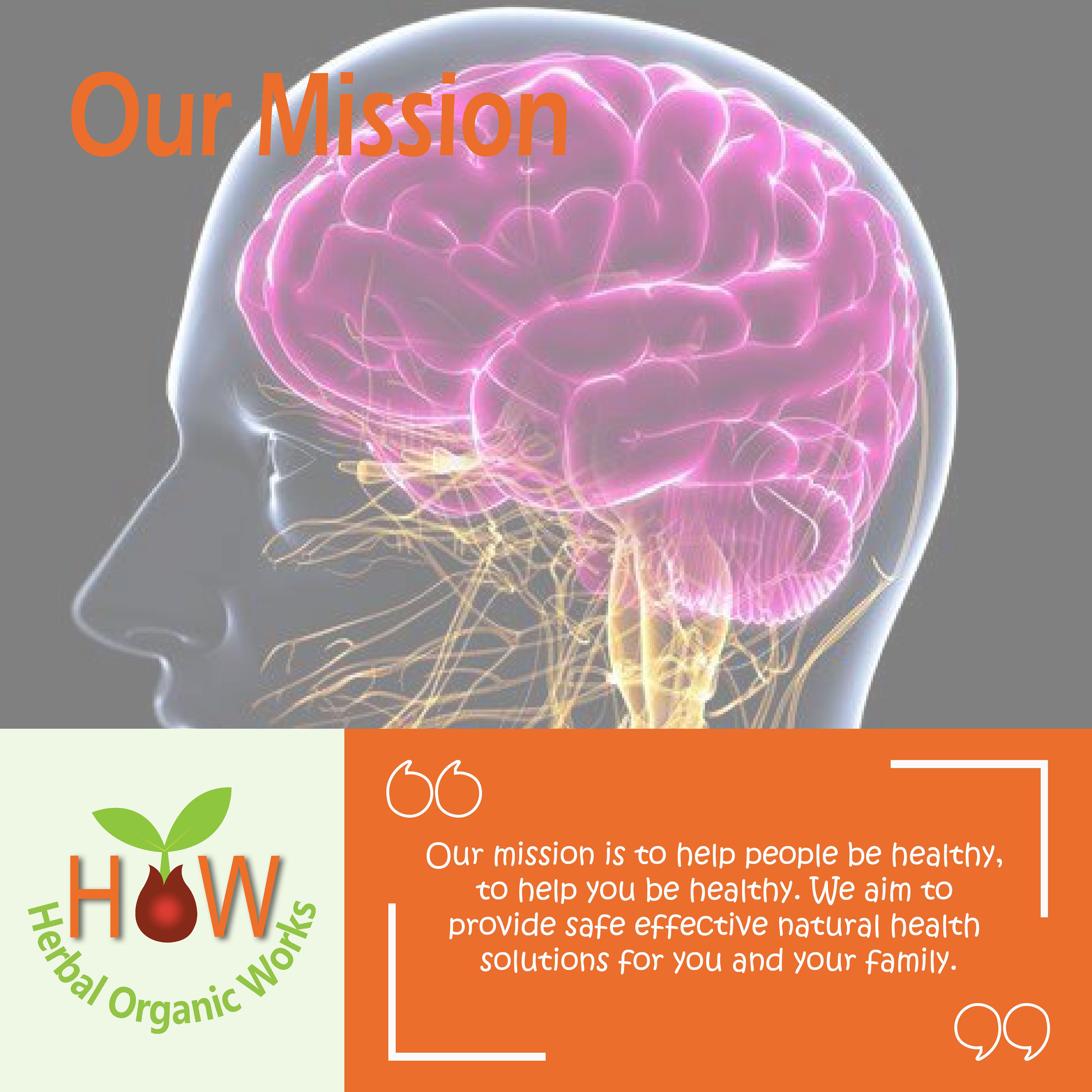 NERVOUSE SYSTEM DISTURBANCE REMEDY (HOW102)