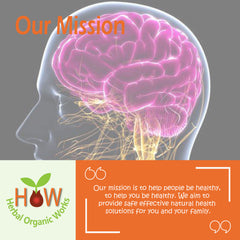 NERVOUSE SYSTEM DISTURBANCE REMEDY (HOW102)