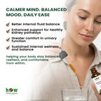 Nephrenex Stability tincture benefits