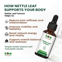 Nettle leaf extract  for body