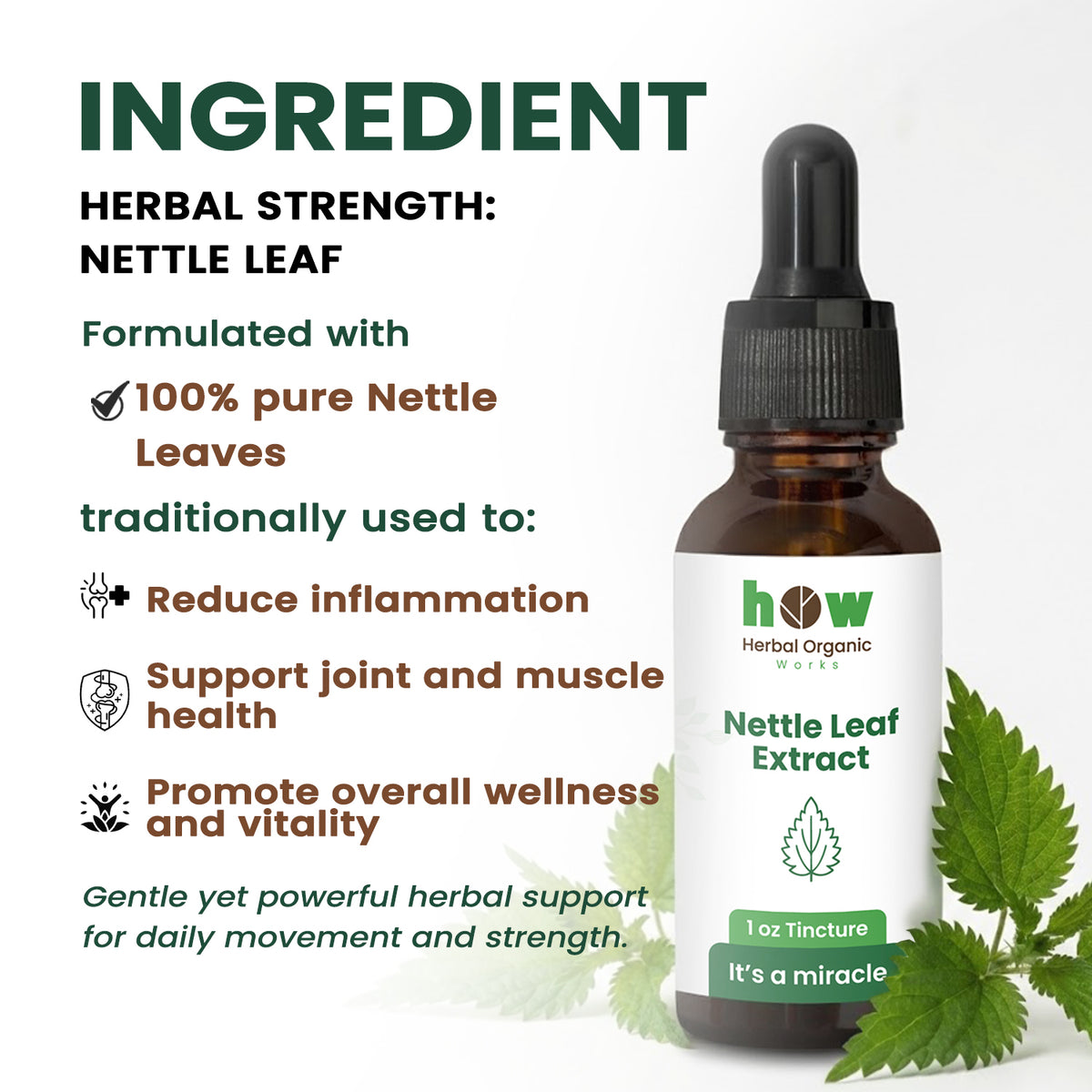 Nettle leaf extract ingredients