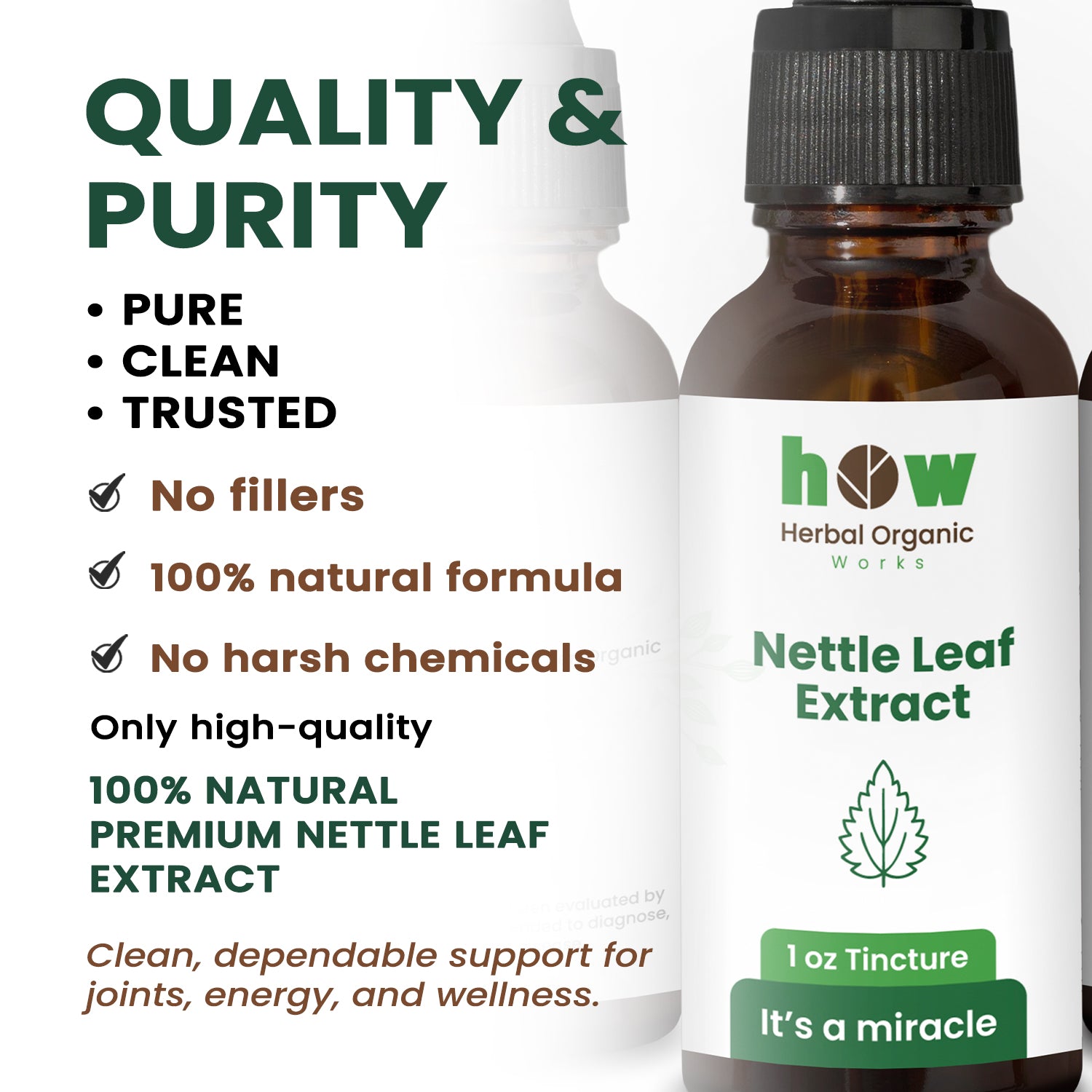 Nettle leaf extract quality