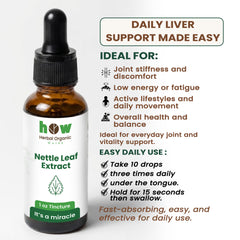 Nettle leaf extract uses