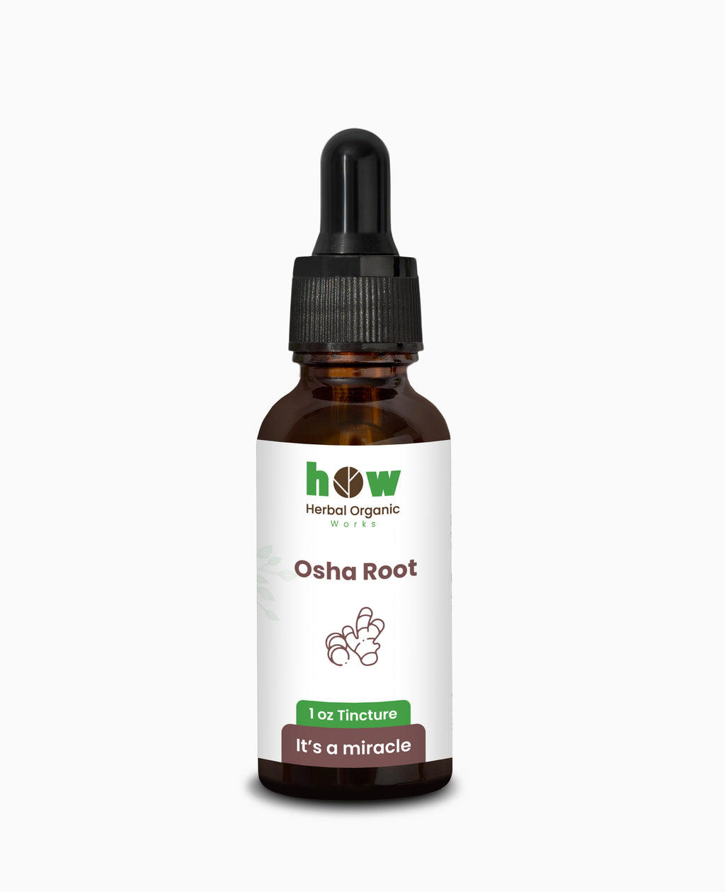 Osha Root extract