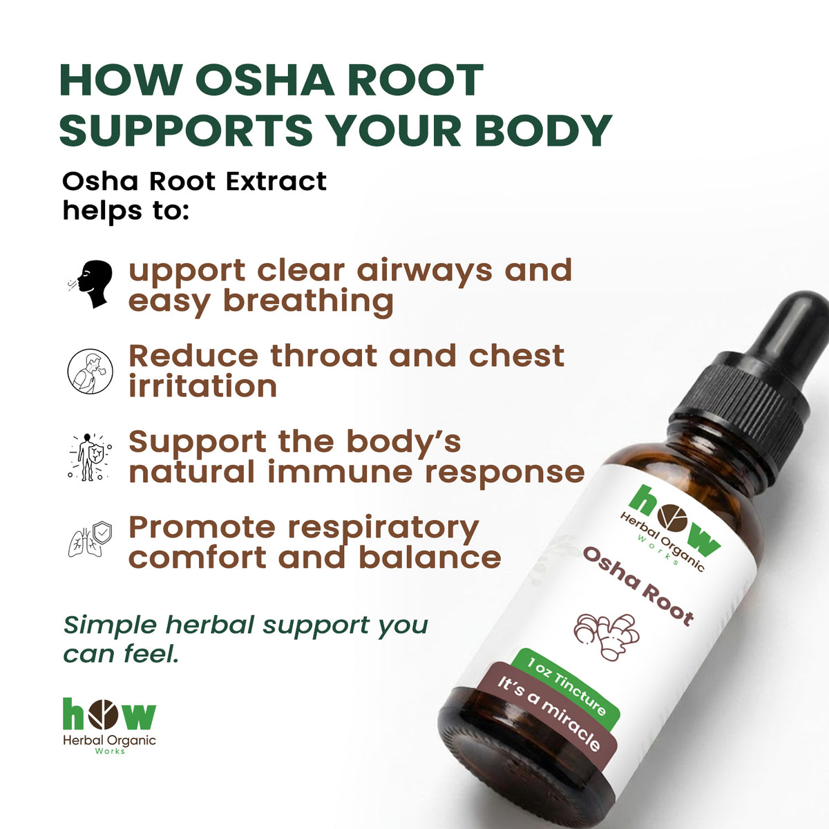 Osha Root extract for body