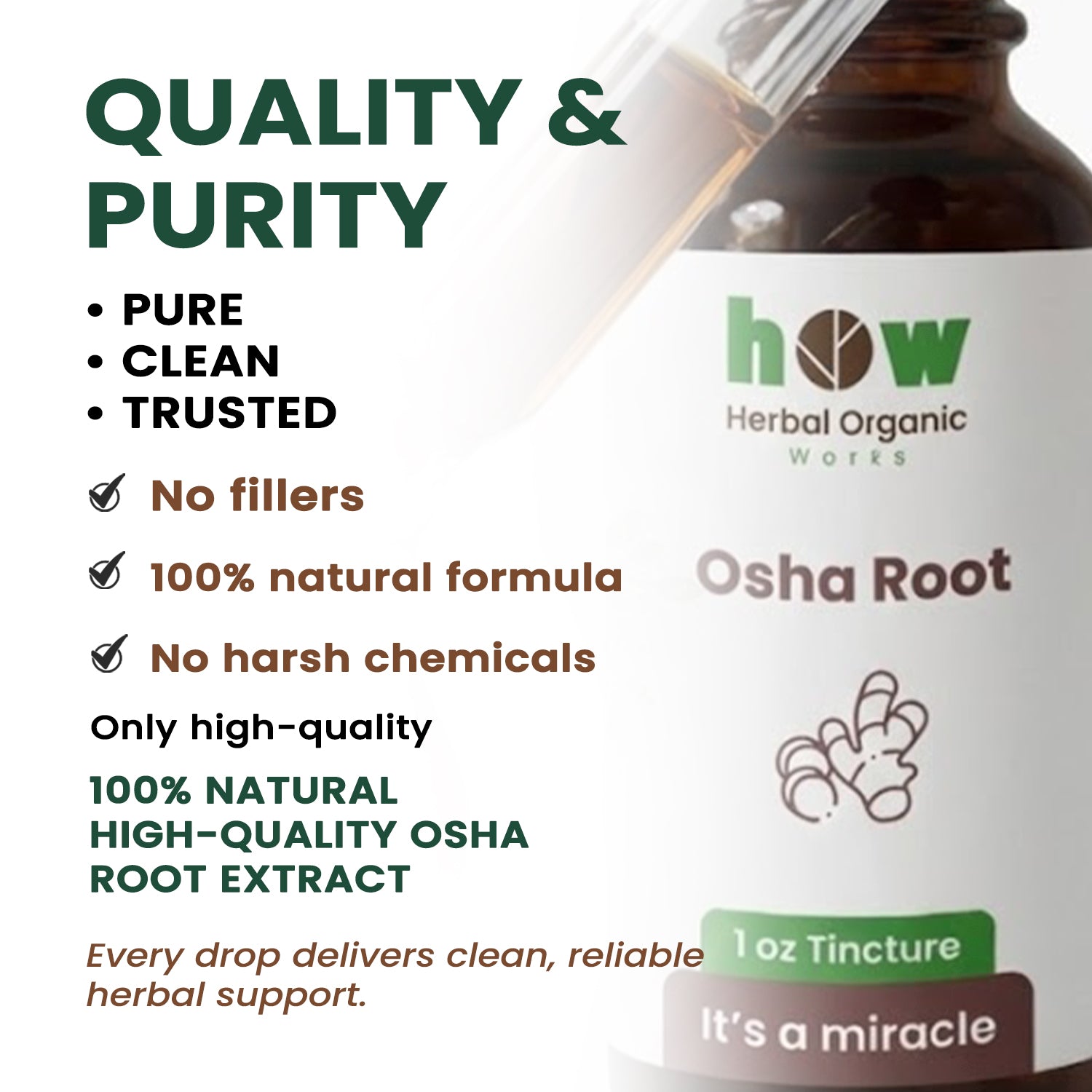 Osha Root extract quality