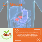 PANCREAS INFLAMMATION NATURAL REMEDY (HOW129)