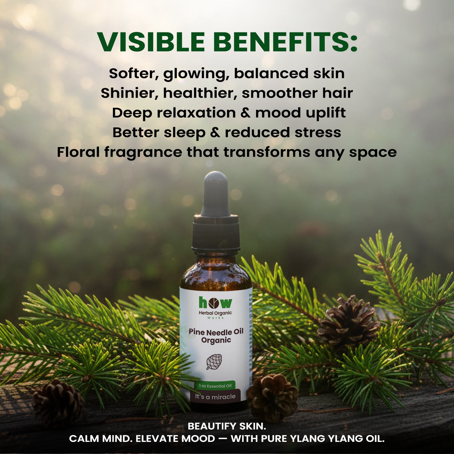 Pine needle oil benefits