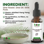 Pine needle oil ingredients