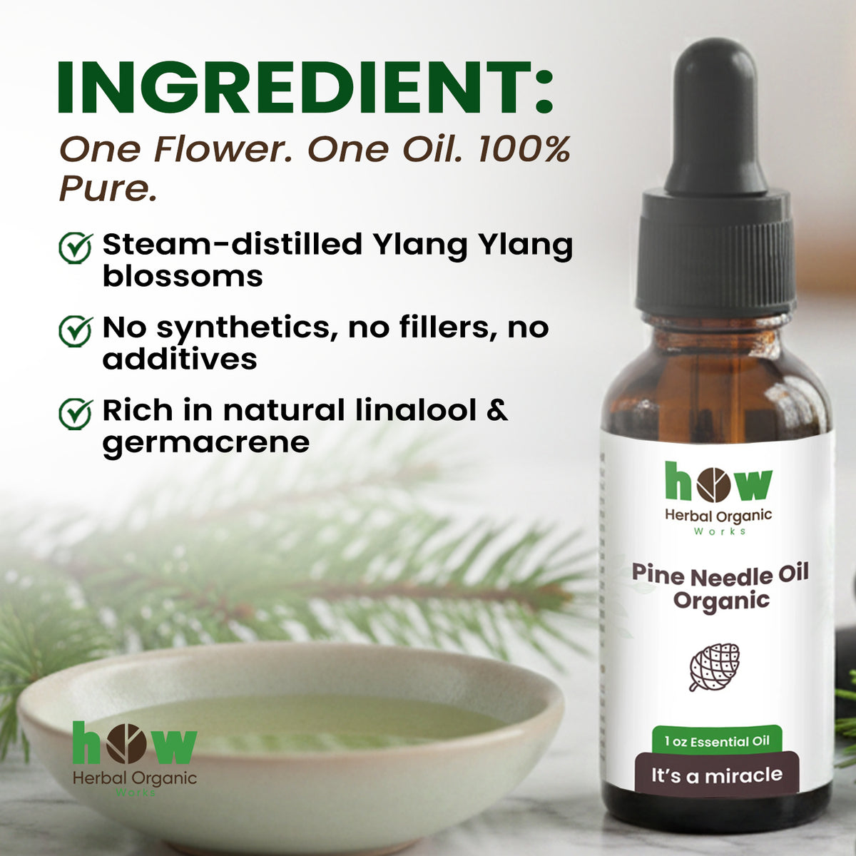 Pine needle oil ingredients
