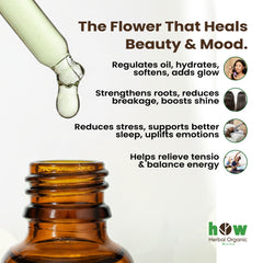 Pine needle oil works